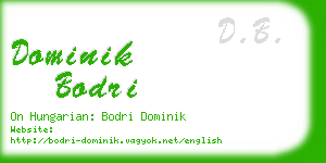 dominik bodri business card